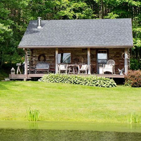 Cozy Cottage On Pond Great Valley Экстерьер фото